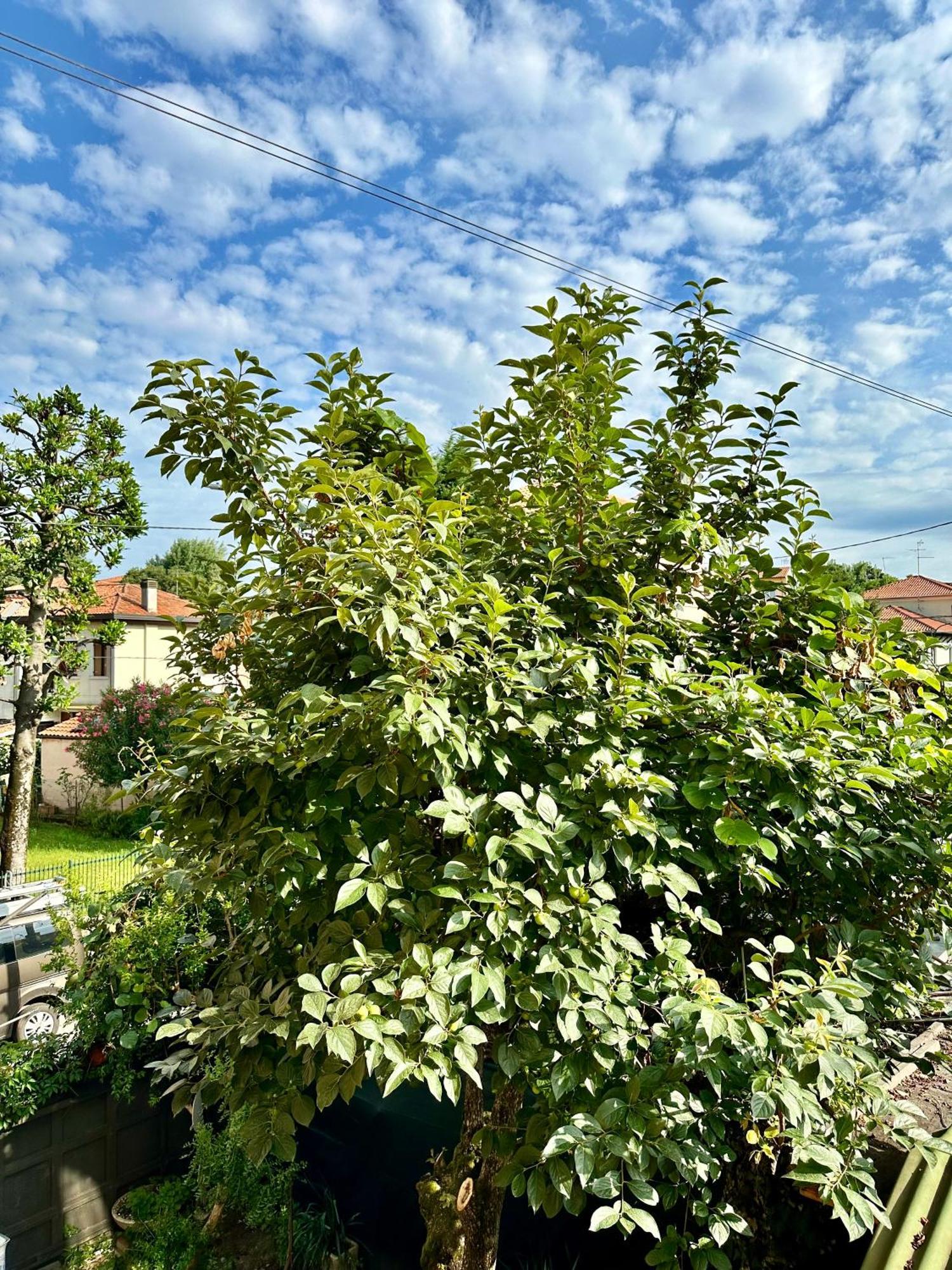 Casa Clara Apartment Marghera Luaran gambar